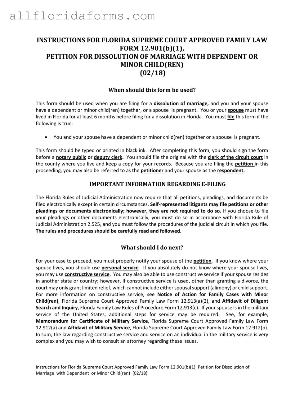 Florida Divorce Decree Form in PDF