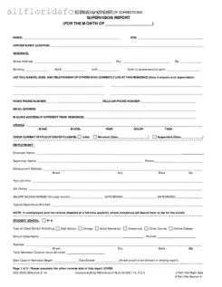 Florida Supervision Report Form in PDF